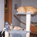 23.08.2007 - Das passt schon, jeder hat seinen eigenen Platz ...