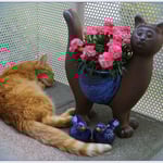 Das Foto entstand im Juni 2017 und ist eines der letzten die ich von Felix gemacht habe ...