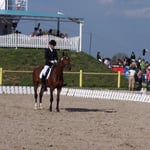 Begrüßung der Jury ...