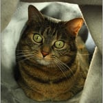 Der Tunnel als Versteck vor fremden Leuten ...