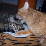 07.11.2007 - Komm schon her, du bist ja ganz dreckig ...