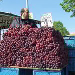 Obstverkäufer beim Blütenfest in Borthen ...