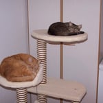 14.02.2008 - Eben mal schnell die Plätze getauscht ...