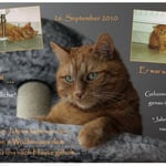 Felix hat seinen 8. Geburtstag ...