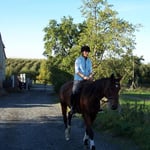 08.10.2006 - Bei solchem Wetter macht das ausreiten Spaß ...