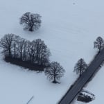 Hab nur den schwarz/weiß Film in der Kamera ...