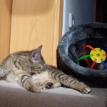 22.08.2007 - Die Sonne und den Tunnel mag ich sehr ...