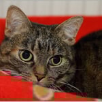 Was willst Du von mir?