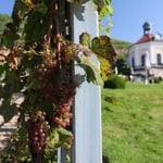 Original-Aufnahme ...