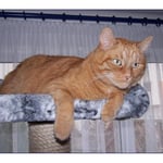 Was ist denn da los ?