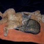 29.08.2007 - Eigentlich ist das meine Decke ...