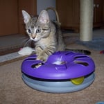 19.08.2007 - Es gibt immer wieder Neues zu entdecken ...