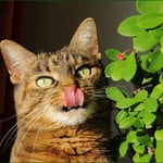 So eine kleine Freche ...