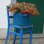 So nebenbei ein "Stillleben" ...