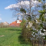 Blick zum Röhrsdorfer Schloß ...