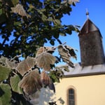 Original-Aufnahme ...