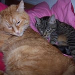 31.10.2007 - Sie macht mir einfach alles nach ...