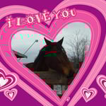 06.01.2008 - Anka, ihr Pferd ...