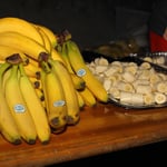 Verplegung in jeder Runde