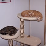 14.02.2008 - Geht doch, jeder hat hier seinen Platz ...