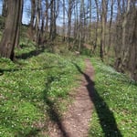 Herrliches Wetter, 15 °C und Sonnenschein ...