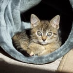 06.08.2007 - Die Sonne genießen ...