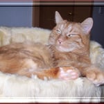 Mich geht das alles nichts an ...