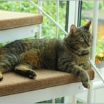 Von hier kann man die Vögel so schön beobachten ...