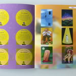 brochures-perforaties