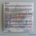 12-inch-platen-hoezen-printen