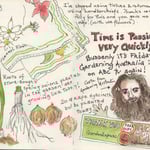 Gardening is keeping me sane! Strangely time seemed to pass very quickly.