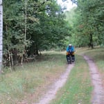 Eben noch eine tolle Strasse, jetzt Fahrweg im Wald.
