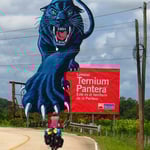 Selbst grosse Katzen können Bea keine Furcht einjagen!