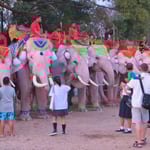 Elefanten ziehen immer viele Zuschauer an, auch in Thailand.