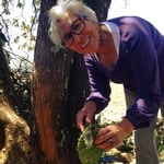 Flor schneidet Triebe im eigenen Garten.