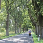 Wir geniessen das Fahren durch die langen Alleen, Kopfsteinpflaster hin oder her.