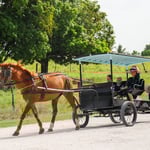 (Bild aus dem Internet)