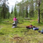 Der Platz sieht sehr schön aus, ist aber der absolute Mückenhorror!