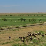 Die Landschaft ist immer gleich flach und eher eintönig zum Radfahren.