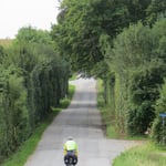 Akkurat geschnittene Hecken entlang der Radroute.