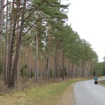 Einsame, aber sehr gute Strassen in Estland.