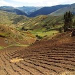 Manche Felder sind unglaublich steil angelegt.