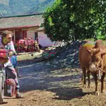 Was willst du von mir?