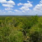 Blick von der 70 m hohen Pyramide La Danta. So weit das Auge reicht Urwald, rundum.