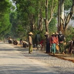 Strassenbau - einmal mehr alles in Handarbeit.