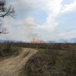 Brandrohdung, in der Schweiz verboten.