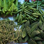 Wie dieses Gemüse wohl schmeckt?