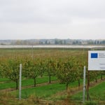 Die EU und ihre Geldtöpfe sind oft präsent. Hier hat sie eine grosse Obstplantage mitfinanziert.