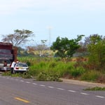 Abgehauene Zweige ersetzen das Pannendreieck (und werden nachher einfach liegen gelassen). 