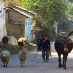 Mit "Gegenverkehr" ist immer zu rechnen.